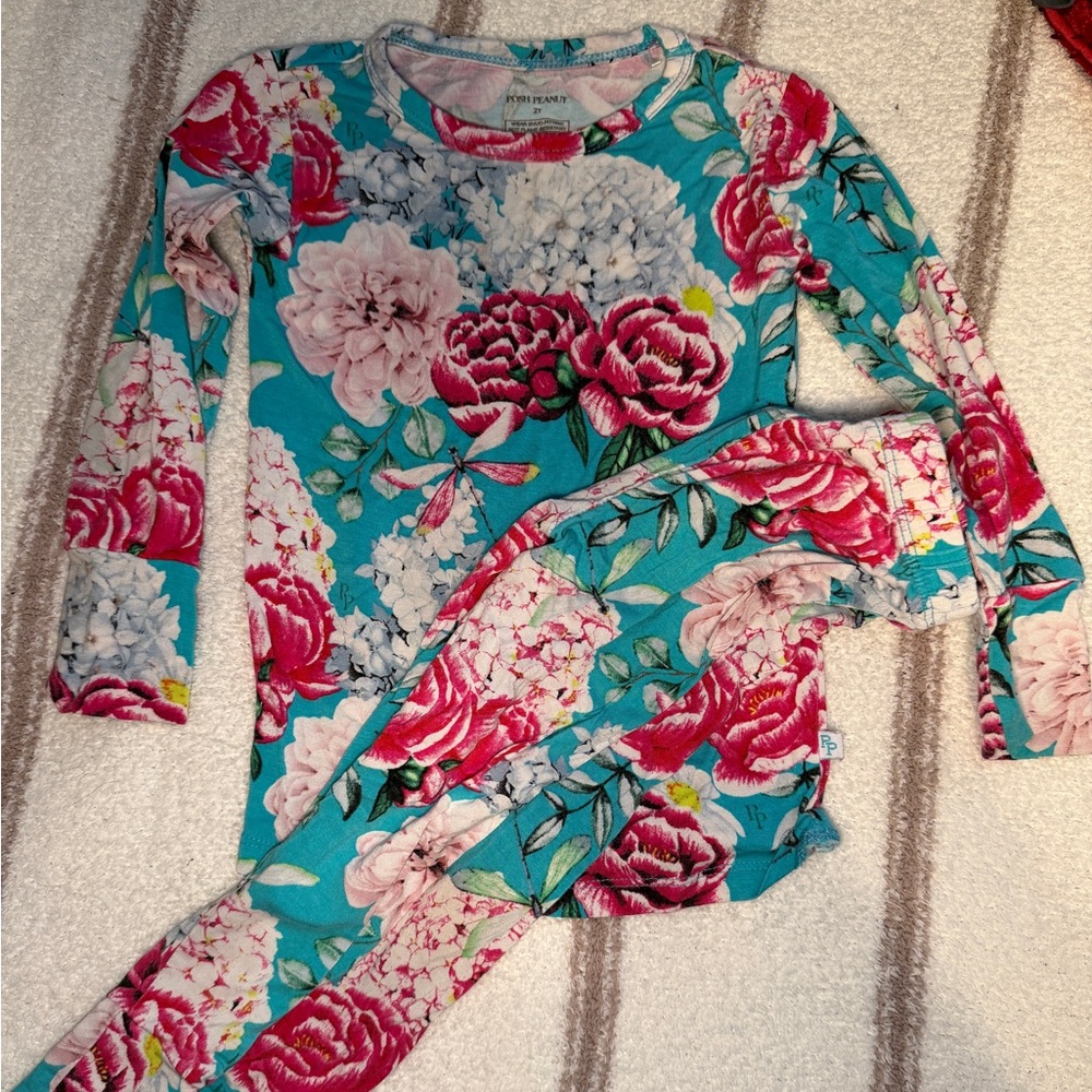 Posh peanut 2t pajama set